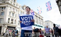 British Prime Minister David Cameron calls for Remain vote